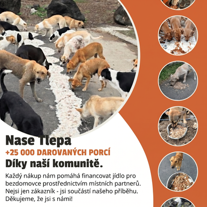 Náramek – Dračí šupina