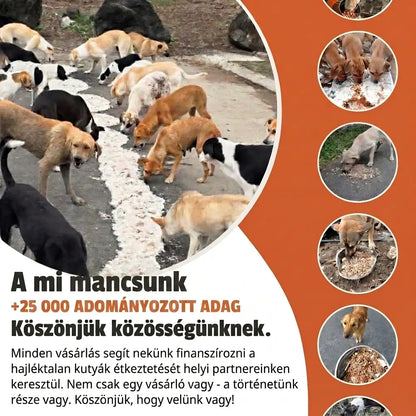 Karkötő – Yin Yang